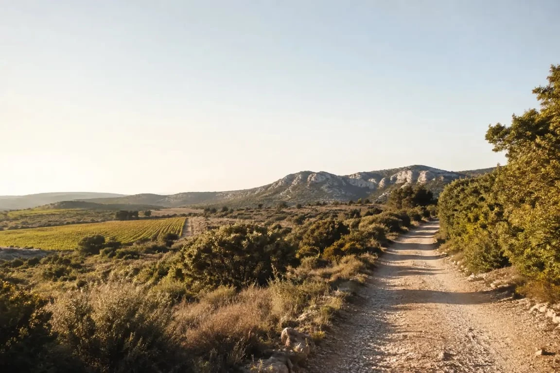 Randonnée Hérault entre garrigue, vignes et reliefs calcaires