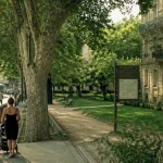 Montpellier Alco : trottoir et tram vers parc, vie de quartier connecté