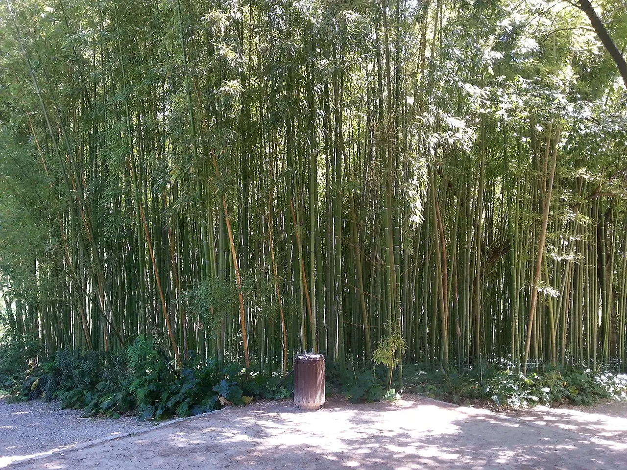 Jardin des plantes à Montpellier
